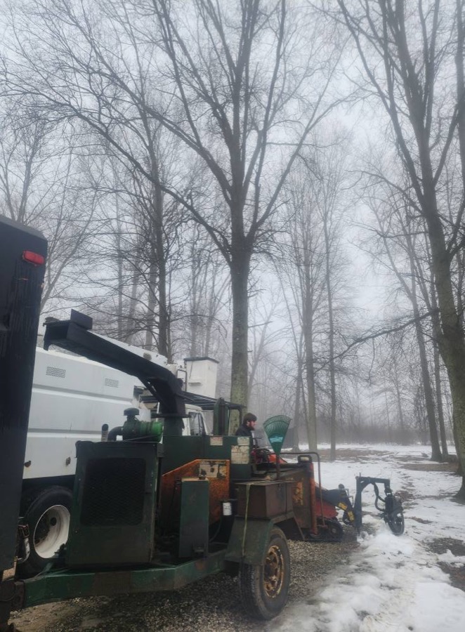 Storm damage cleanup crew clearing a downed tree and chipping brush in Cortland, Ohio.