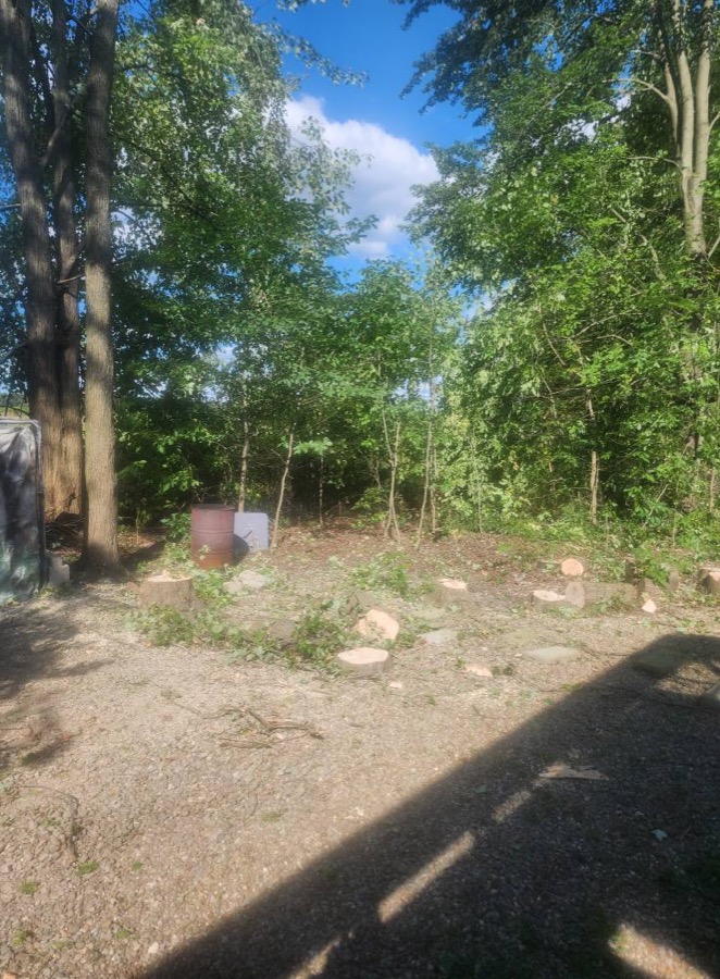 A Northeast Ohio property cleared and cleaned up by Big Dogz Tree Service — trees down, yard intact, no debris left behind.