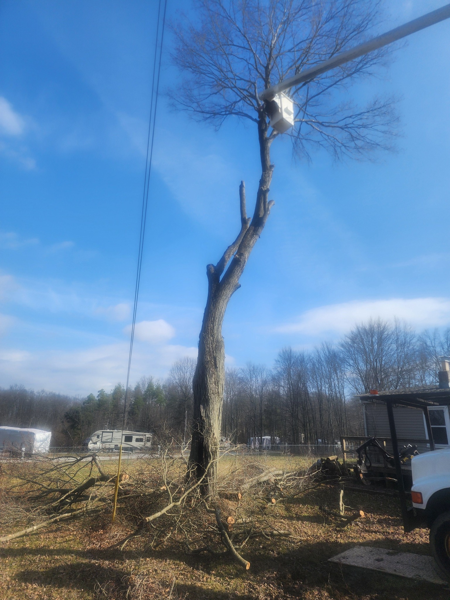Storm & Emergency Work — Storm-down trees, blocked driveways, hung-up limbs — when weather wrecks your trees, we show up.
